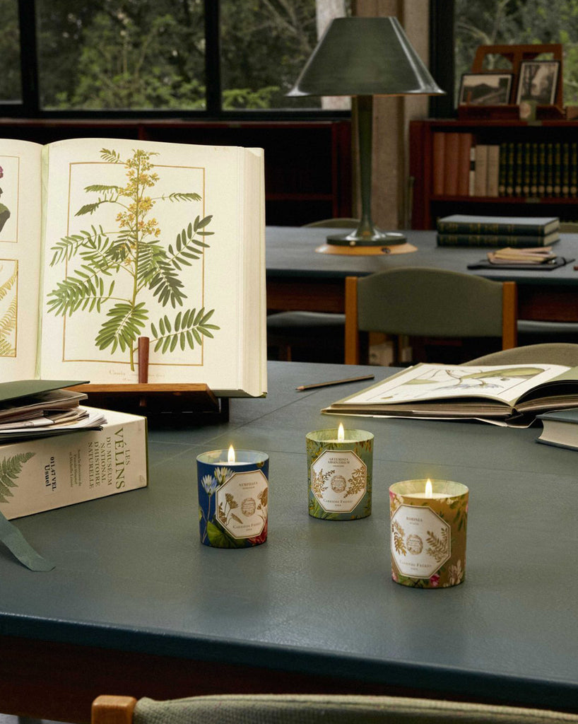 Carrière Frères Museum Collection candles displayed in front of antique botanical books in a library-inspired setting—elegant, archival & refined. Available at Michelle Kindness Design.