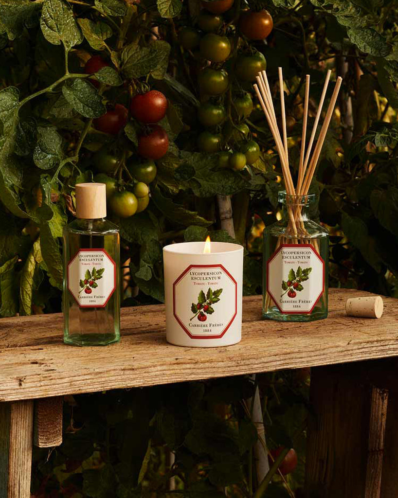 Carrière Frères Tomato candle, room spray & diffuser styled together in front of a tomato plant backdrop—moody & botanical. Available at Michelle Kindness Design.