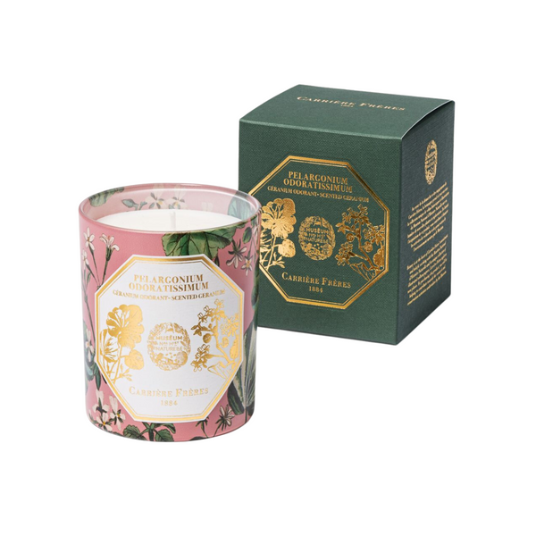 Geranium (Pelargonium odoratissimum) candle by Carrière Frères—shown in front of its illustrated botanical box. Available at Michelle Kindness Design.