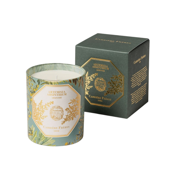 Absinthe (Artemisia Absinthium) candle by Carrière Frères—shown in front of its illustrated botanical box. Available at Michelle Kindness Design.
