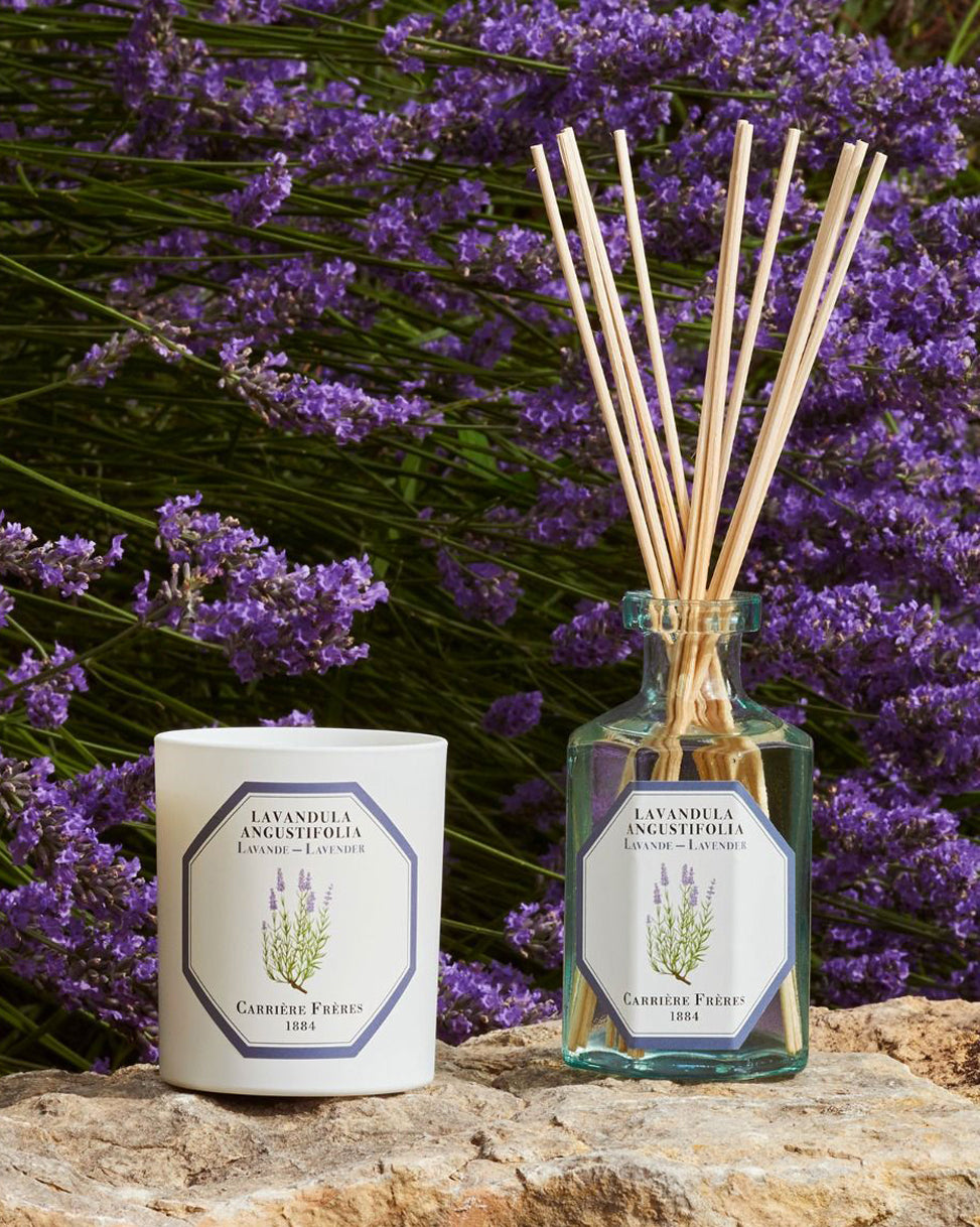Carrière Frères Classic Collection | Michelle Kindness Design